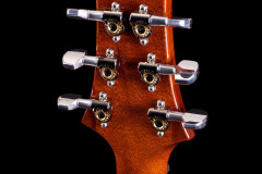 PRS Paul Reed Smith P22 Orange Tiger Flame 10-top 2013