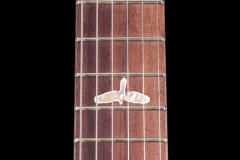 PRS Paul Reed Smith P22 Orange Tiger Flame 10-top 2013